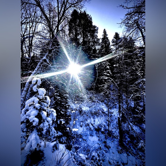 Meet your Posher, Benz Her - Picture 15 of 16